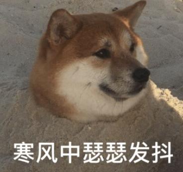 DƬ